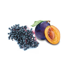 HARVIA koncentrát vône do sauny, baza a slivka 100 ml 