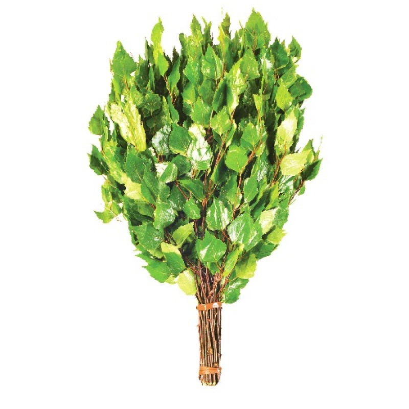 Brezová metlička s bylinkami