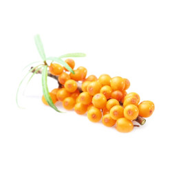 HARVIA koncentrát vône do sauny, rakytník 1 l 