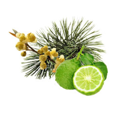 HARVIA koncentrát vône do sauny, arolla, bergamot a litsea cubeba 1 l 