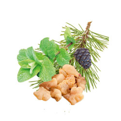 HARVIA voňavý koncentrát do sauny, mäta pieporná, borovica, kadidlo a myrha 1 l 