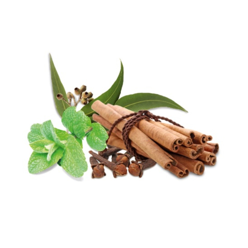 HARVIA voňavý koncentrát do sauny, korenie a mäta 1 l