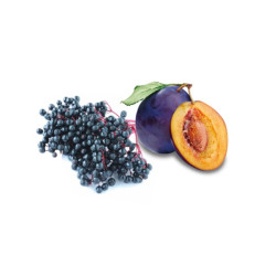 HARVIA voňavý koncentrát do sauny, bazy a slivky 1 l 