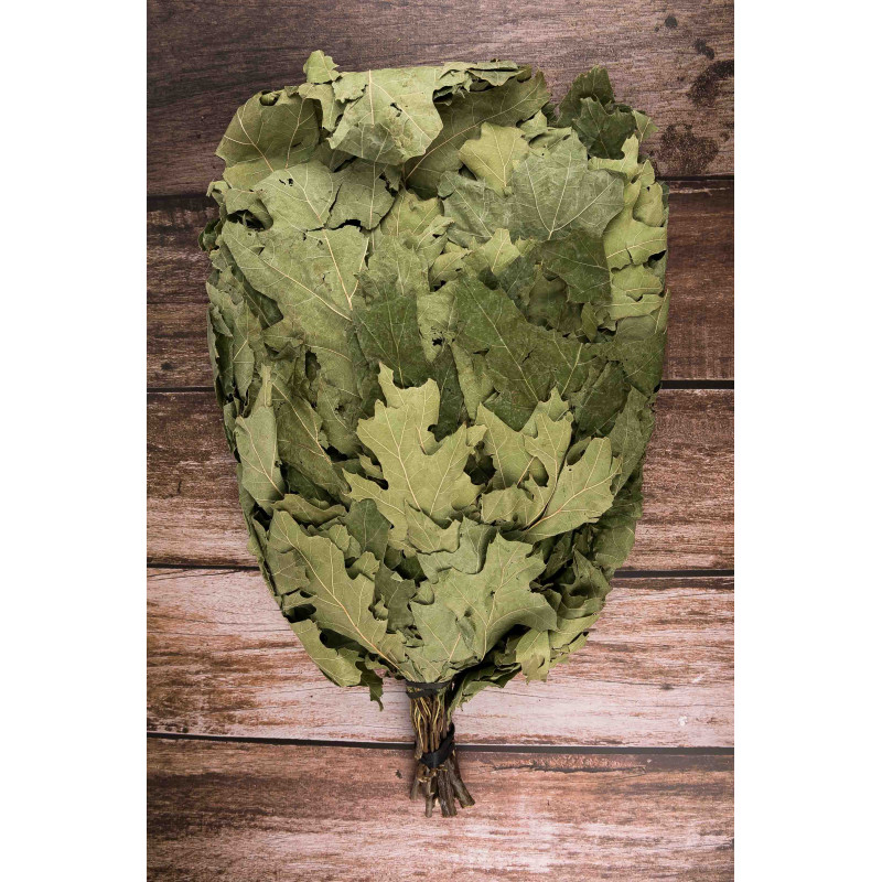 Metla z kanadského duba